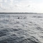 Fishing trips, boat trips, fishing charters, private fishing guide, and family fun adventures.