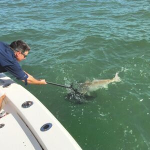 Fishing trips, boat trips, fishing charters, private fishing guide, and family fun adventures.