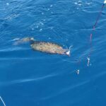 Fishing trips, boat trips, fishing charters, private fishing guide, and family fun adventures.