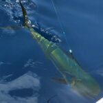 Fishing trips, boat trips, fishing charters, private fishing guide, and family fun adventures.