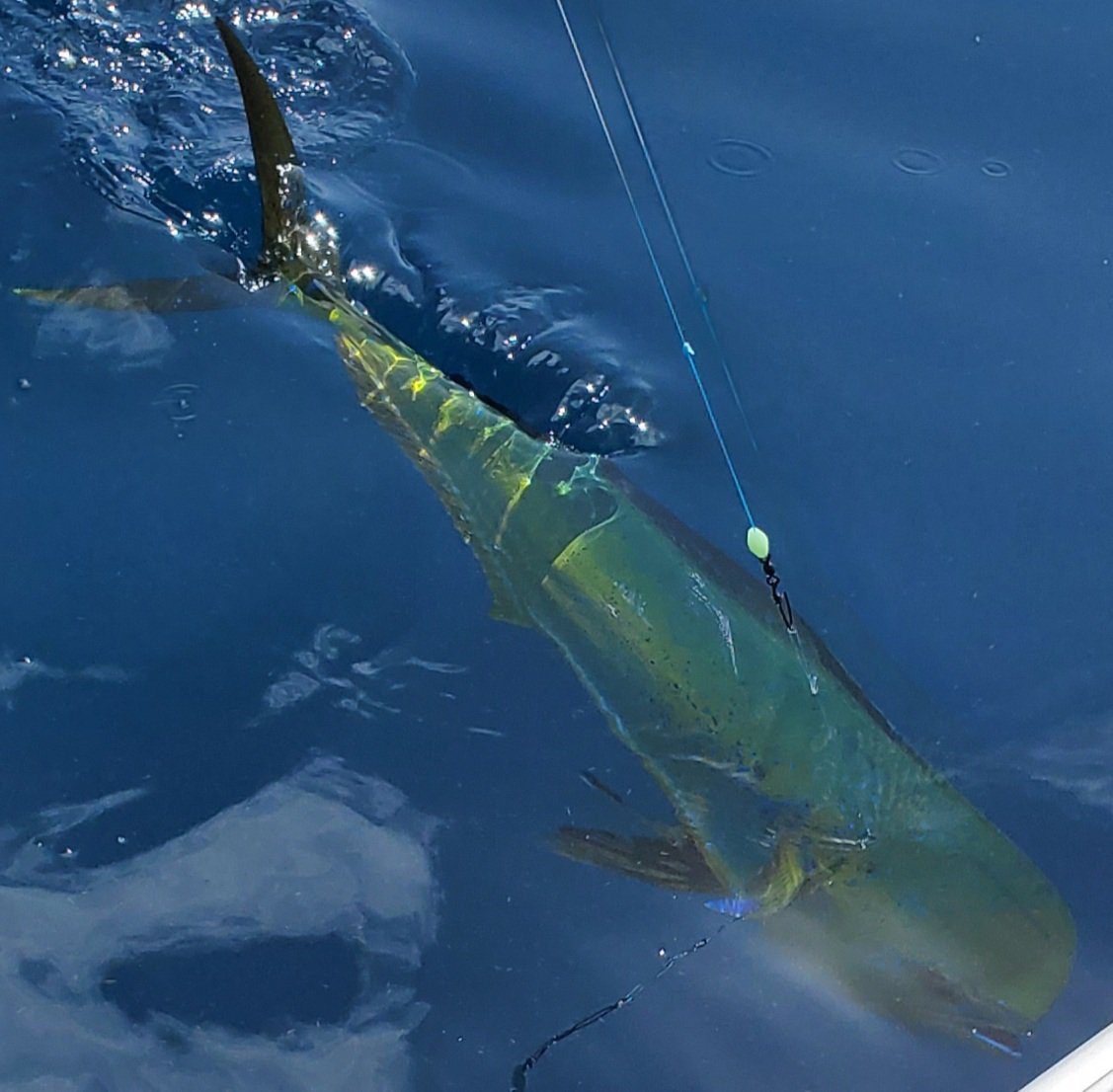 Fishing trips, boat trips, fishing charters, private fishing guide, and family fun adventures.