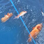Fishing trips, boat trips, fishing charters, private fishing guide, and family fun adventures.