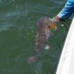 Fishing trips, boat trips, fishing charters, private fishing guide, and family fun adventures.