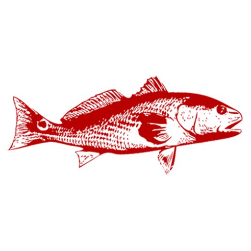 Fishing trips, boat trips, fishing charters, private fishing guide, and family fun adventures.