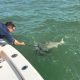4 hour nearshore fishing trip