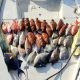 Full Day offshore fishing trip (10 plus hours depending on seas)